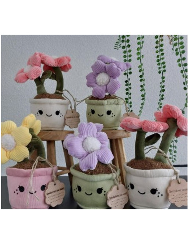 Knuffel plant bloem