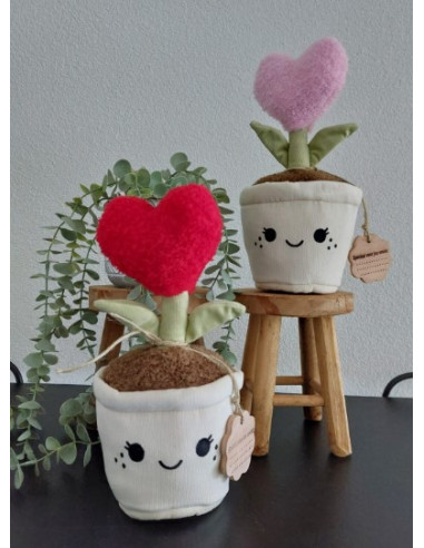 Knuffel plant hart