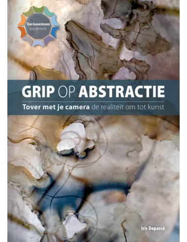 Grip op abstractie