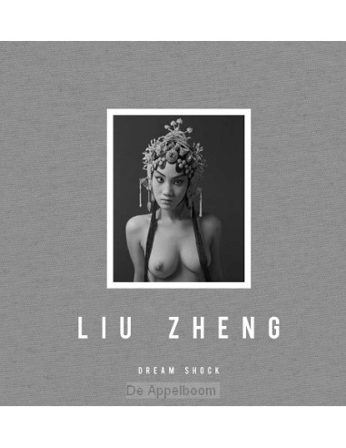 Liu Zheng: Dream Shock