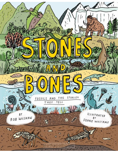 Stones and Bones