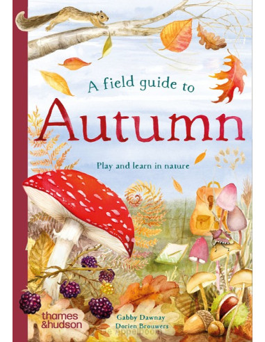 A Field Guide to Autumn