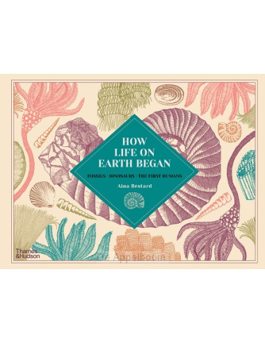 How Life on Earth Began