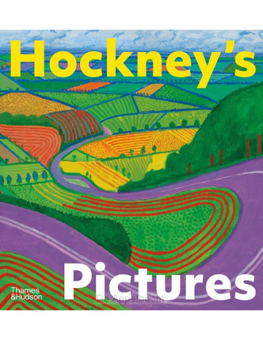 Hockney's Pictures