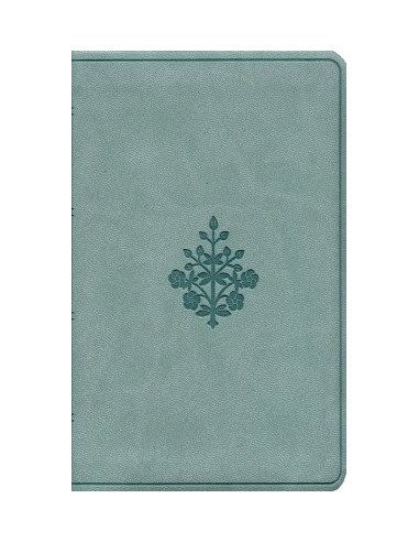 ESV - Value Compact Bible