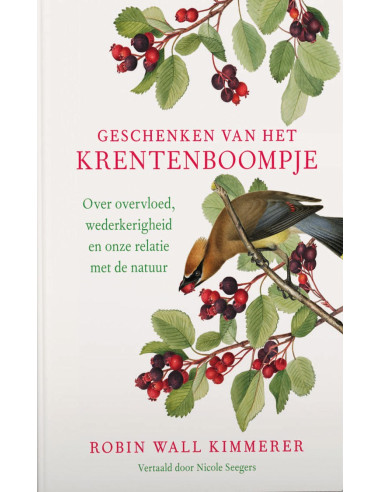 Geschenken van het krentenboompje