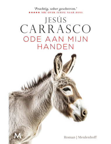Ode aan mijn handen