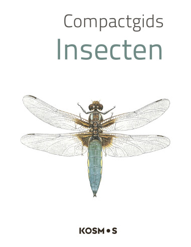 Compactgids Insecten