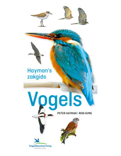 Hayman's zakgids vogels