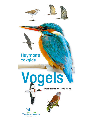 Hayman's zakgids vogels