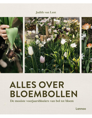 Alles over bloembollen