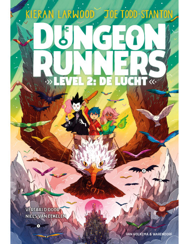 Dungeon Runners - Level 2: De lucht