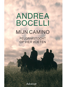 Mijn camino