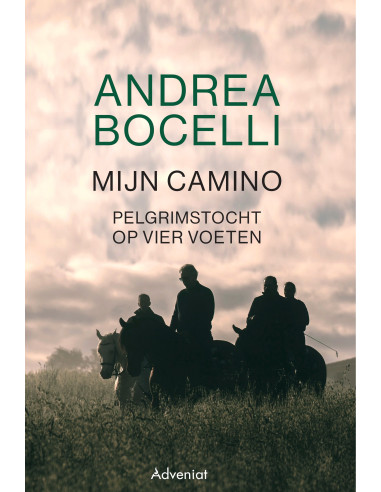 Mijn camino