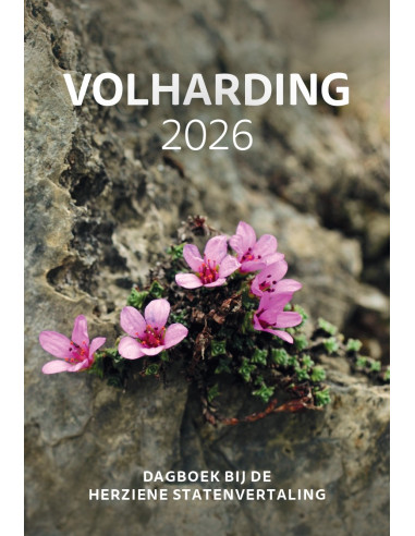 Volharding | 2026