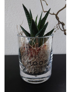 Cilinder Vaas xS: Gelooof...