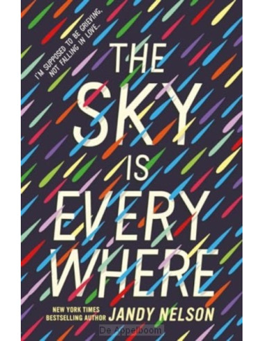 The Sky Is Everywhere