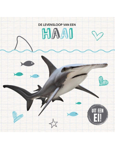 De levensloop van een haai