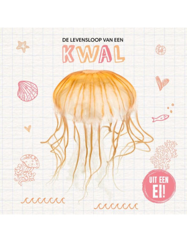 De levensloop van een kwal