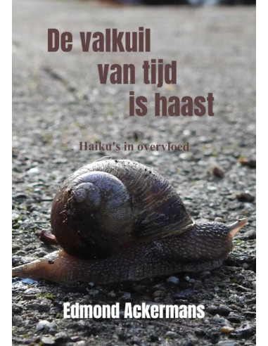 De valkuil van tijd is haast