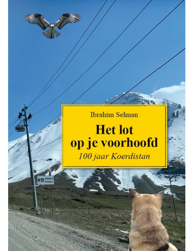 Het Lot op je Voorhoofd