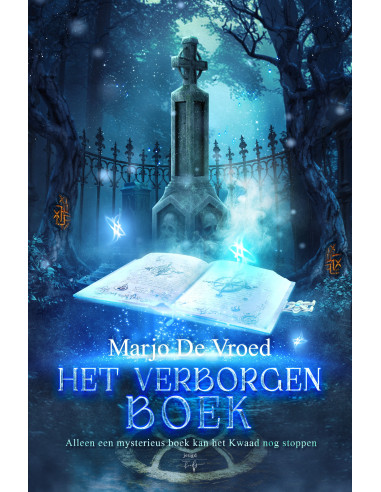Het verborgen boek