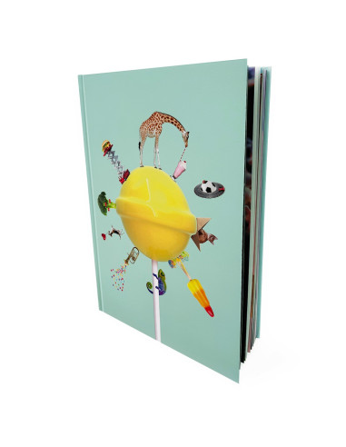 Het grote kijkboek
