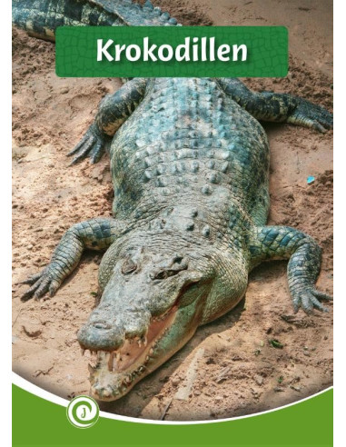 Krokodillen
