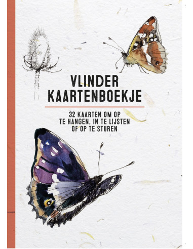 Vlinder kaartenboekje
