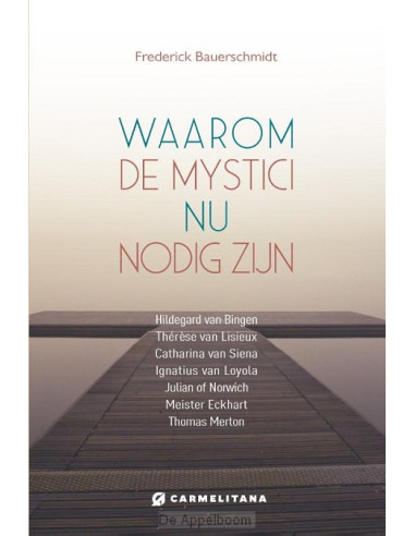 Waarom de mystici nu van belang zijn