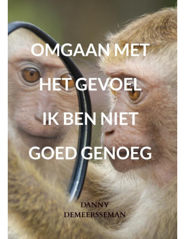 Omgaan met het gevoel ik ben niet goed g