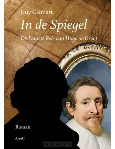 In de spiegel