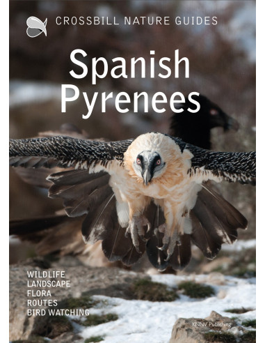 Crossbill Nature Guide Spanish Pyrenees