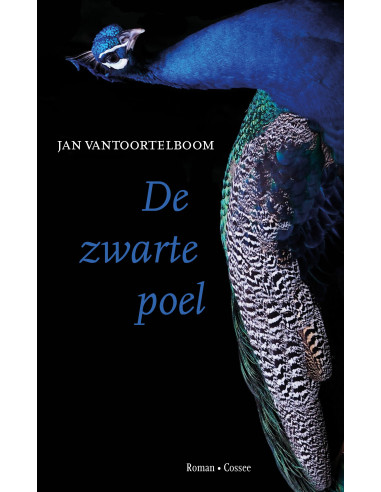 De zwarte poel