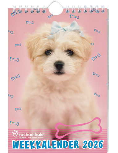 Rachael Hale Honden weekkalender - 2026