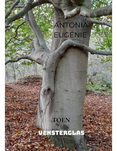 VENSTERGLAS
