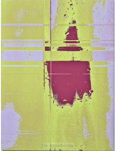 RAIN. Jannemarein Renout