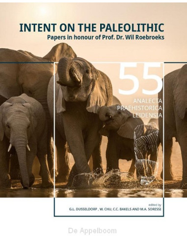 Intent on the Paleolithic