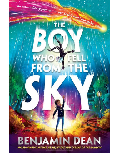 The Boy Who Fell From the Sky