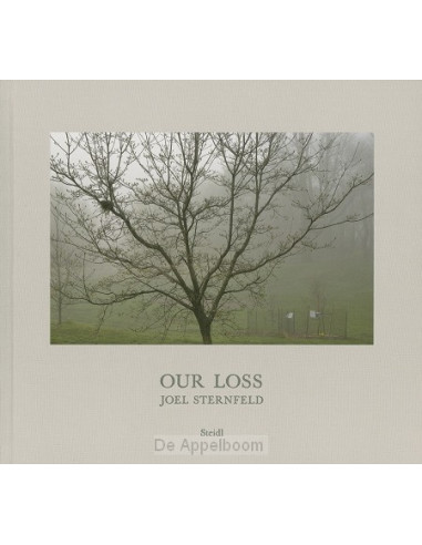 Joel Sternfeld: Our Loss