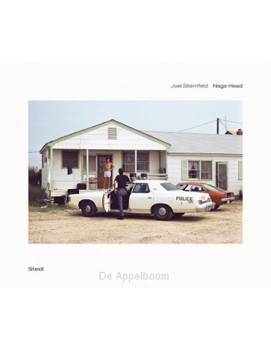 Joel Sternfeld: Nags Head