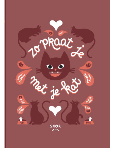 Zo praat je met je kat