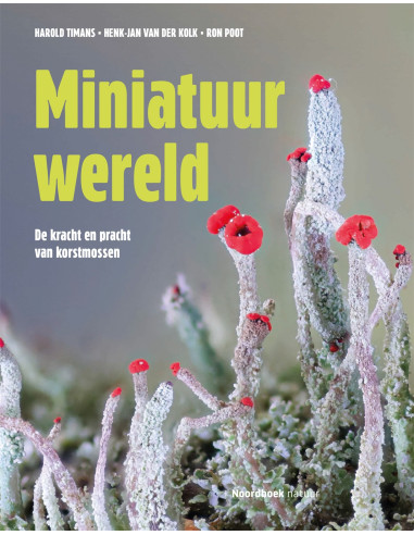 Voorbij de fantasie