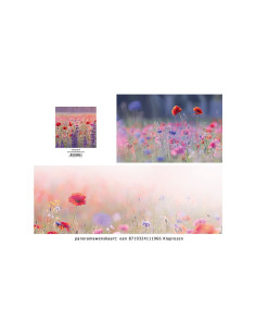 Panoramawenskaart klaprozen