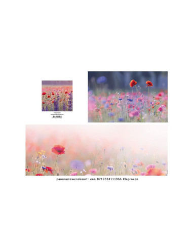 Panoramawenskaart klaprozen