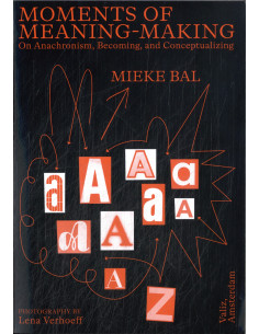 Moments of Meaning-Making