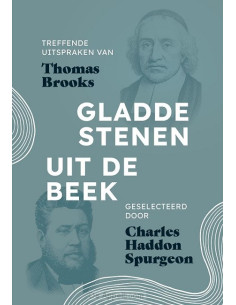 Gladde stenen uit de beek