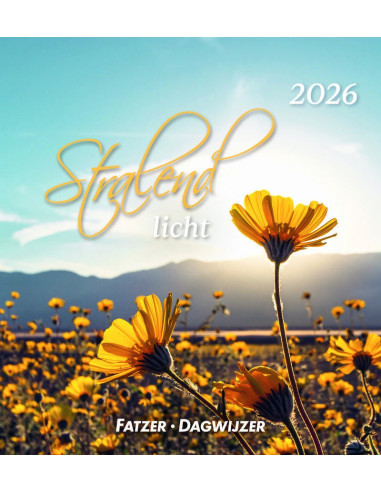 Kalender 2026 hsv stralend licht