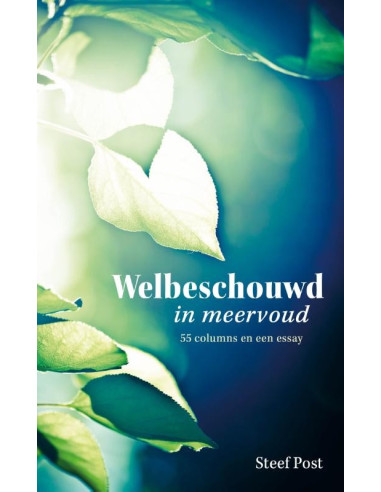 Welbeschouwd in meervoud