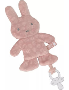 ijntje speendoekje pink...